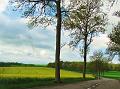 1st Belgian Octagon Tour - dag2 (40)